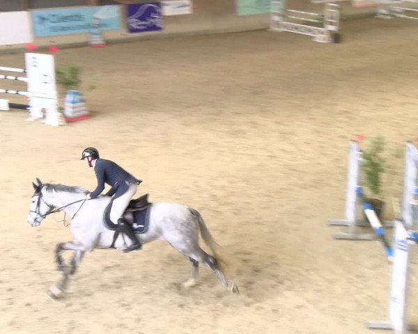 Reitturnier Schaffhausen 2024