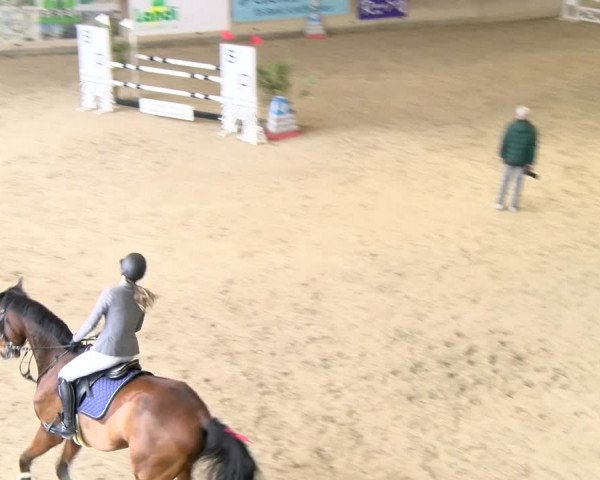 Reitturnier Schaffhausen 2024