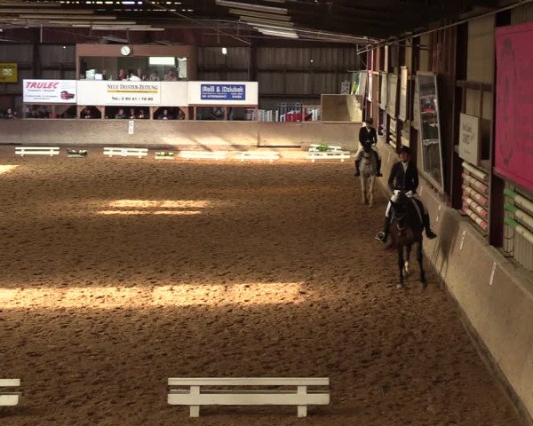 Reitturnier Springe 2024