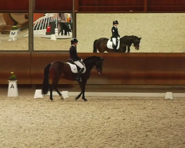 Reitturnier Tremsdorf, Eichenhof 2024