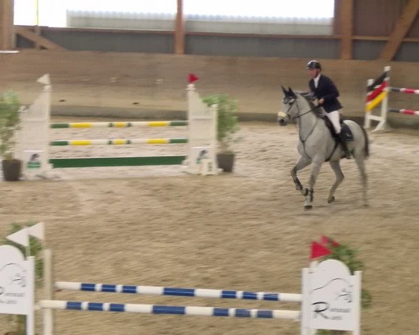 Reitturnier Schaffhausen 2024