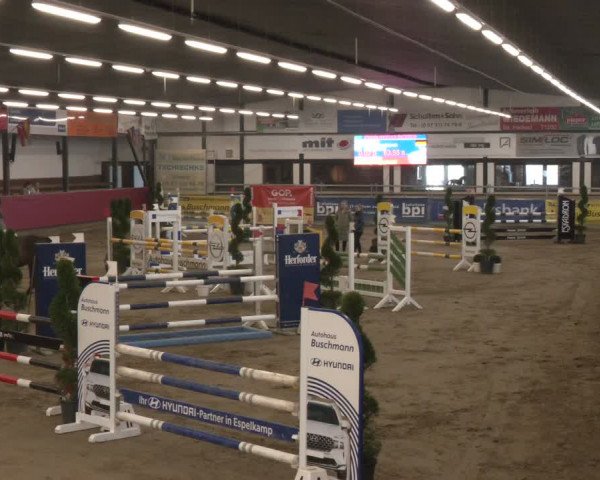 Reitturnier Vlotho-Exter 2024