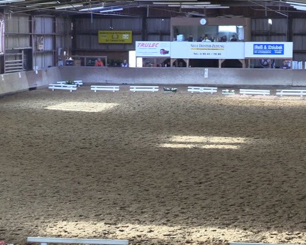 Reitturnier Springe 2024