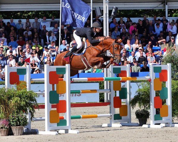 jumper Cheeky Cheeks (Oldenburg, 2017, from Casalido)