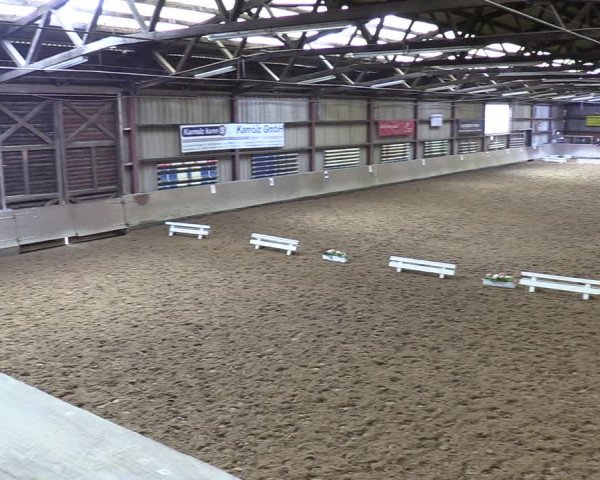 Reitturnier Springe 2024