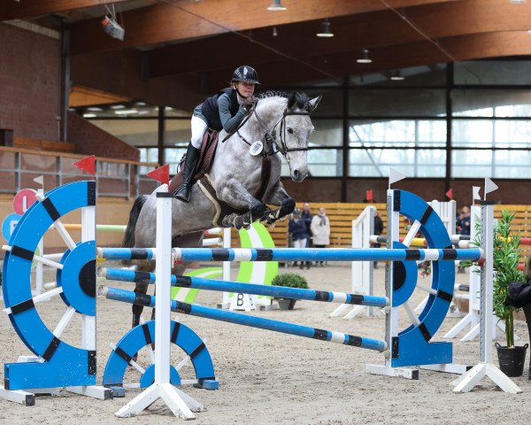 jumper Cathy 48 (Rhinelander, 2017, from Cornet's Boy RM)