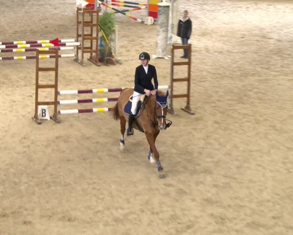 Reitturnier Schaffhausen 2024