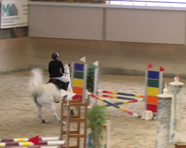 Reitturnier Schaffhausen 2024