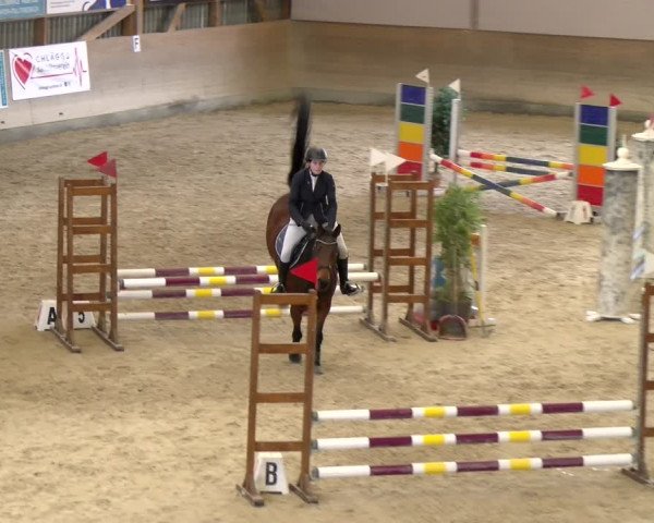 Reitturnier Schaffhausen 2024