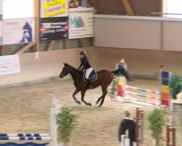 Reitturnier Schaffhausen 2024