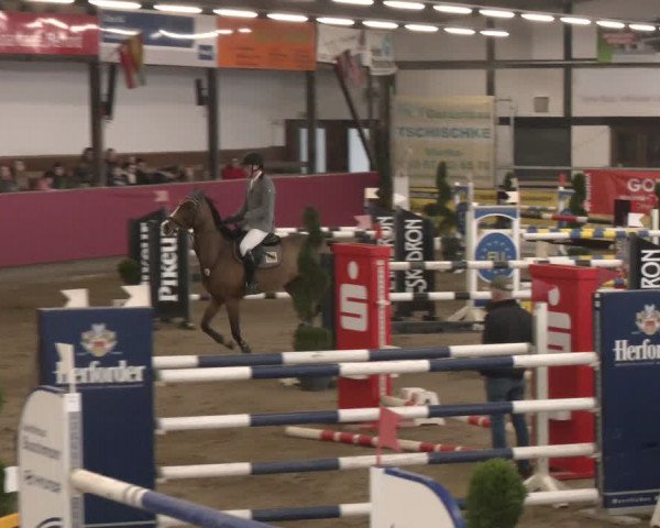 Reitturnier Vlotho-Exter 2024