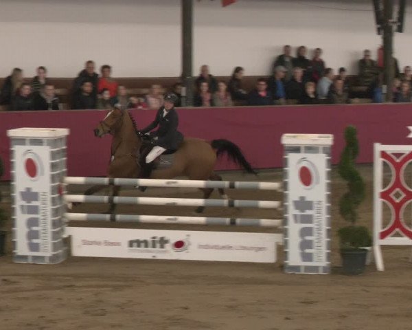 Reitturnier Vlotho-Exter 2024