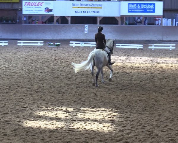 Reitturnier Springe 2024
