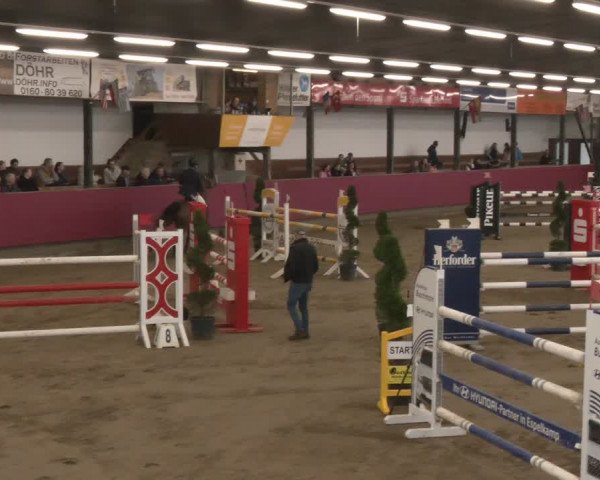Reitturnier Vlotho-Exter 2024