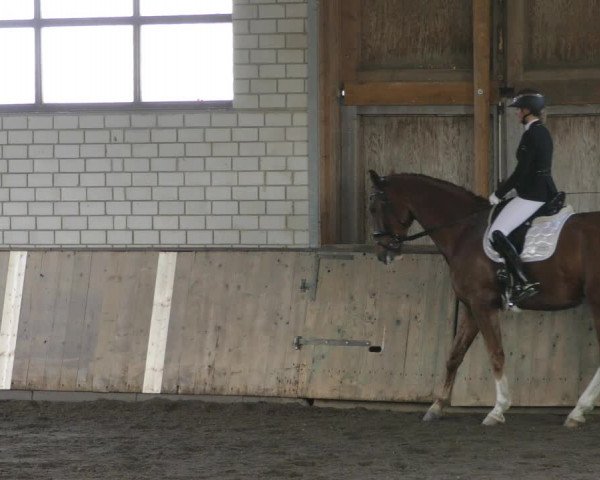 Reitturnier Hildesheim- Marienburg 2024