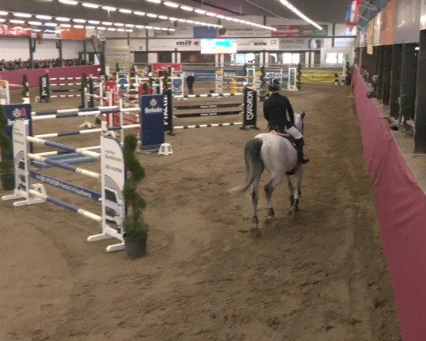 Reitturnier Vlotho-Exter 2024