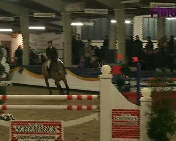 Vreden 2011
