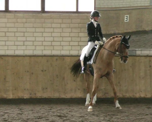 Reitturnier Hildesheim- Marienburg 2024
