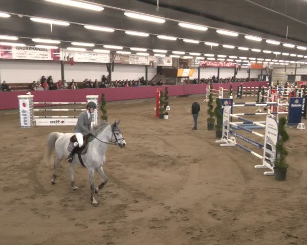 Reitturnier Vlotho-Exter 2024