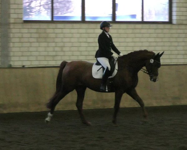 Reitturnier Hildesheim- Marienburg 2024
