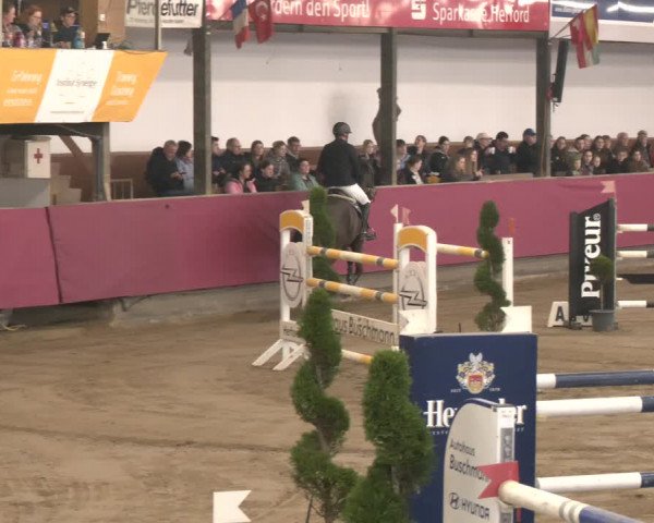 Reitturnier Vlotho-Exter 2024
