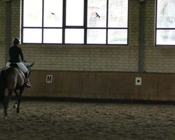 Reitturnier Hildesheim- Marienburg 2024