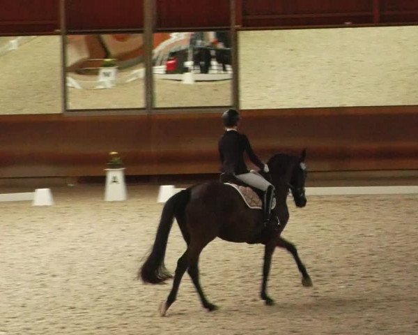 Reitturnier Tremsdorf, Eichenhof 2024