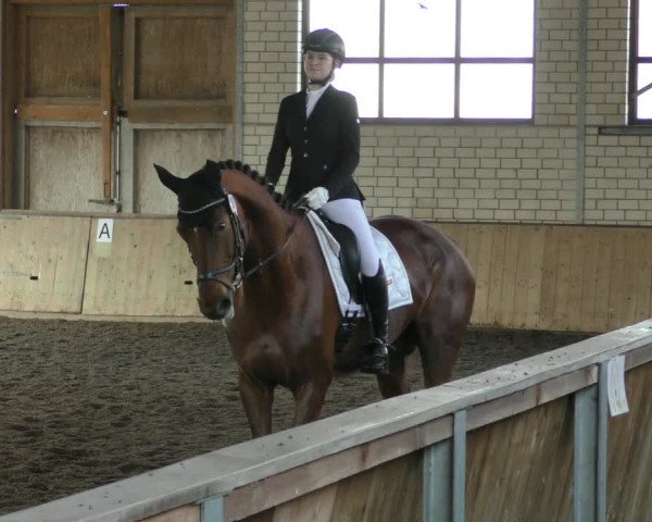 Reitturnier Hildesheim- Marienburg 2024