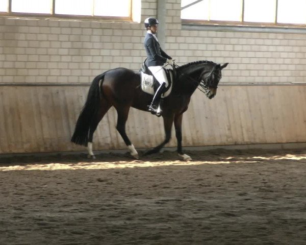 Reitturnier Hildesheim- Marienburg 2024