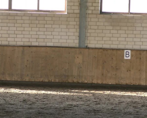 Reitturnier Hildesheim- Marienburg 2024