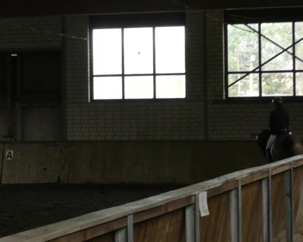 Reitturnier Hildesheim- Marienburg 2024