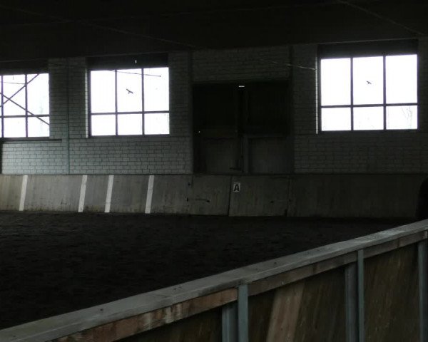 Reitturnier Hildesheim- Marienburg 2024