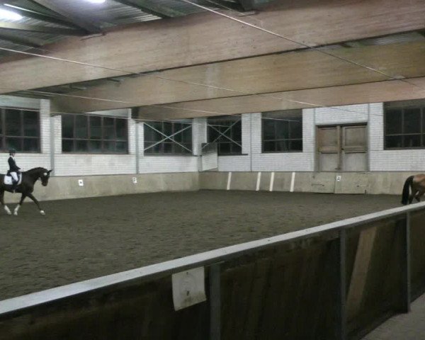 Reitturnier Hildesheim- Marienburg 2024