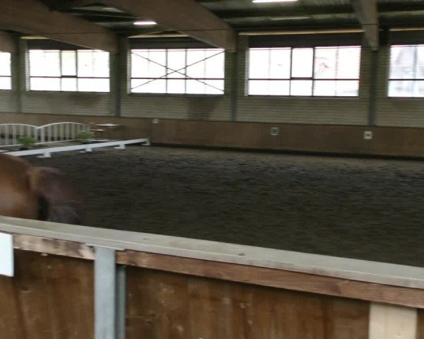 Reitturnier Hildesheim- Marienburg 2024