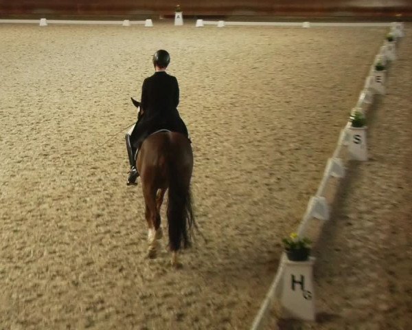 Reitturnier Tremsdorf, Eichenhof 2024