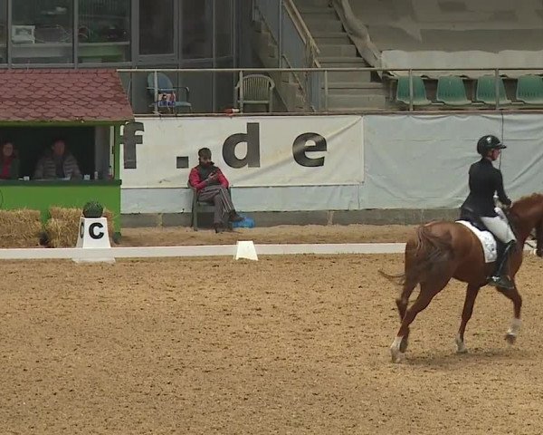 Reitturnier Kreuth/Opf. 2024