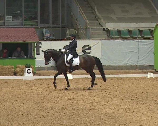 Reitturnier Kreuth/Opf. 2024