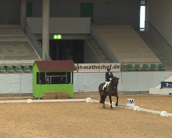Reitturnier Kreuth/Opf. 2024