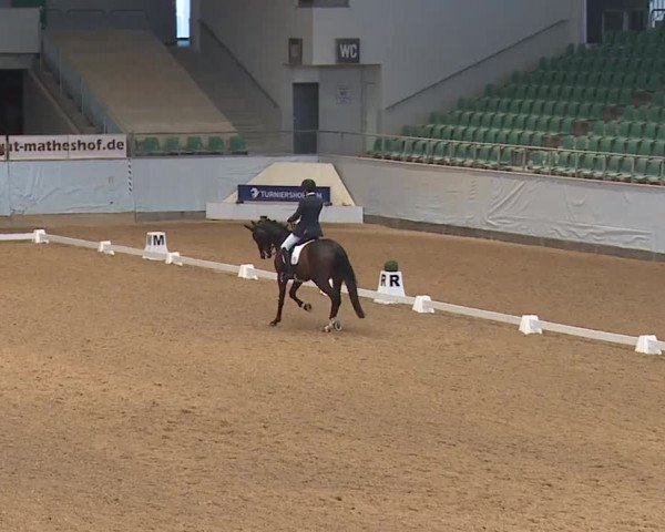 Reitturnier Kreuth/Opf. 2024