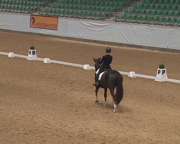 Reitturnier Kreuth/Opf. 2024