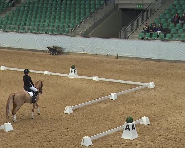 Reitturnier Kreuth/Opf. 2024