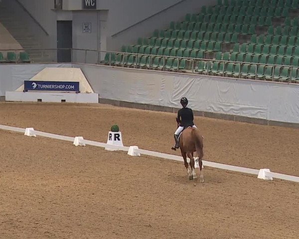Reitturnier Kreuth/Opf. 2024