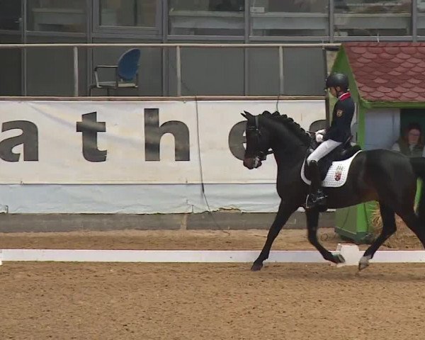 Reitturnier Kreuth/Opf. 2024