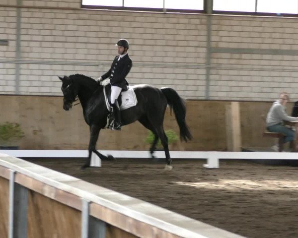Reitturnier Hildesheim- Marienburg 2024