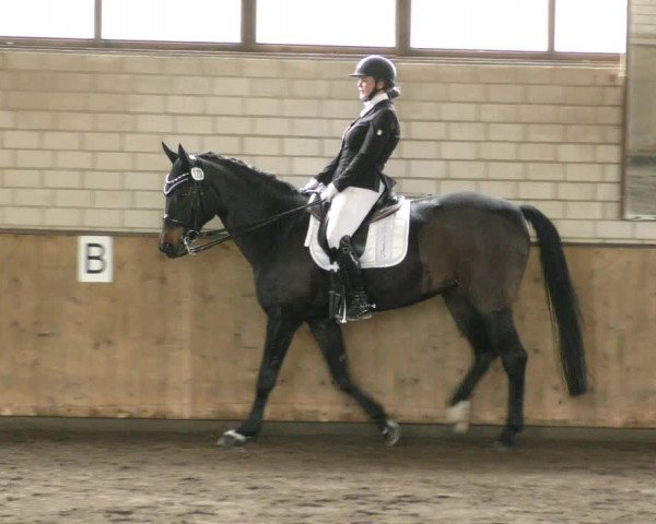 Reitturnier Hildesheim- Marienburg 2024