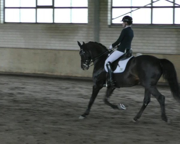 Reitturnier Hildesheim- Marienburg 2024