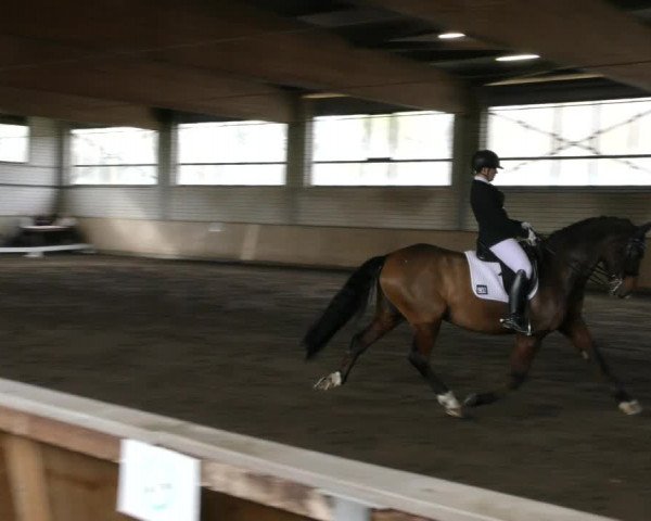Reitturnier Hildesheim- Marienburg 2024