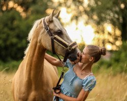 dressage horse Crazy Carlchen (German Riding Pony, 2018, from Classic Dancer I)