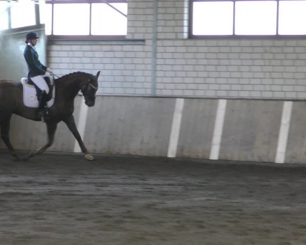 Reitturnier Hildesheim- Marienburg 2024