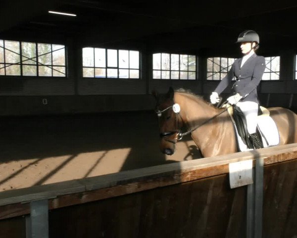 Reitturnier Hildesheim- Marienburg 2024